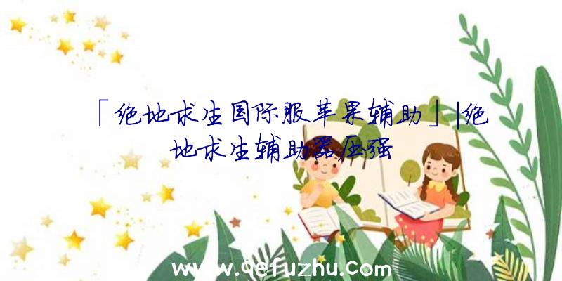 「绝地求生国际服苹果辅助」|绝地求生辅助器压强